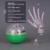 Mini 1/2 Scale Gashapon Palm Model: Super Movable Finger Joints - Left & Right Hands for Drawing & Sketching