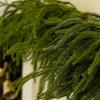 Cedar Garland Realistic Holiday Party Supplies Artificial Greenery Garland For Winter For Outdoor Indoor Porches Front Door