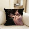 Neo Hou Minghao Lu Yuxiao TV Love in The Clouds Ji Bozai Various Sizes Square Pillow Case For Car Home Bedchamber Decor