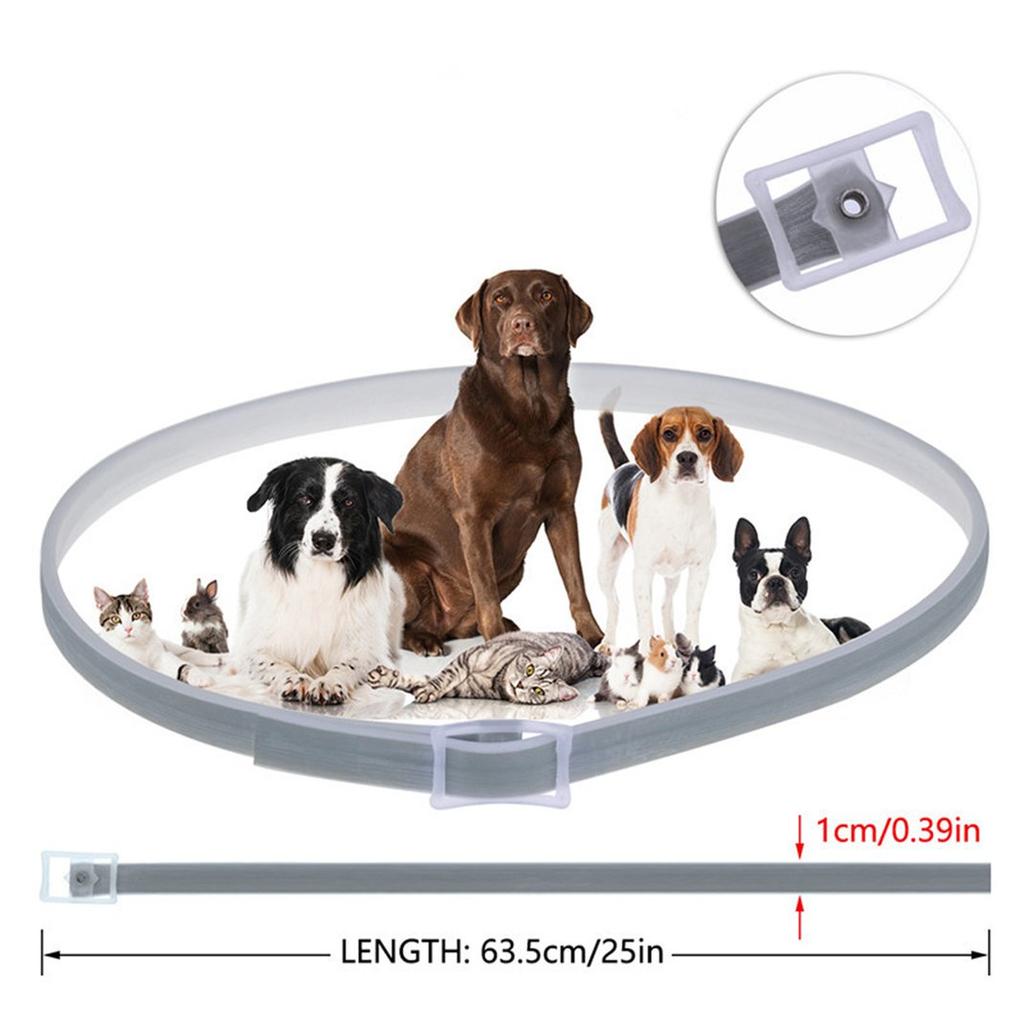 electronic flea collar