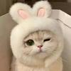 1/2pcs Soft Knit Pet Costume Hat with Bunny Ears, Stretchy Polyester for Cats & Small Dogs, Comfortable Animal Headwear