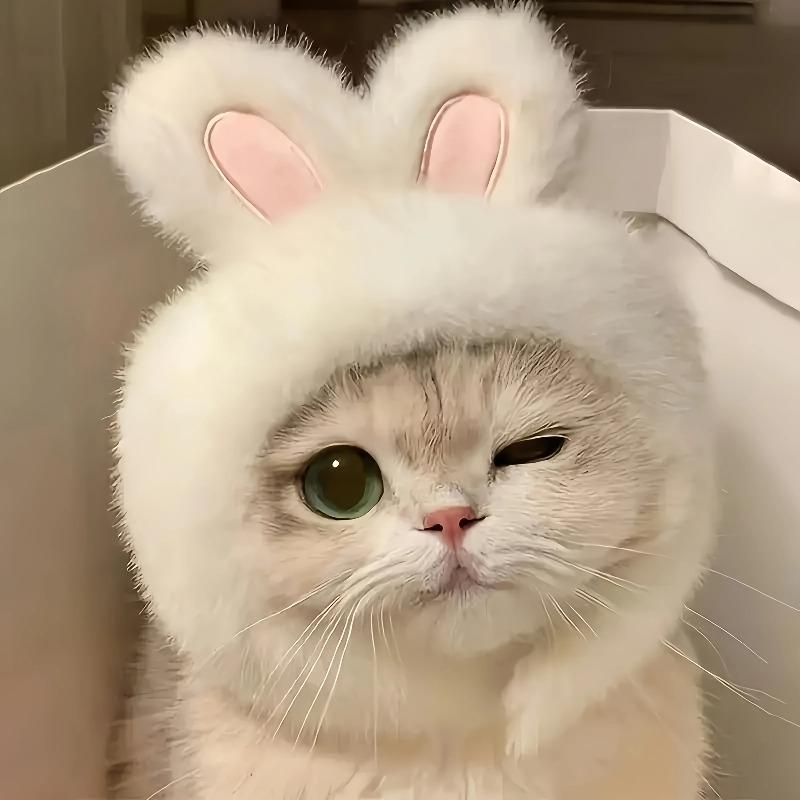 1pc Bunny Ears Hat for Cats Dogs, Knit Pet Costume Headwear, Pullover Fun Animal Clothing for Photos & Dress Up, Pet Accessories