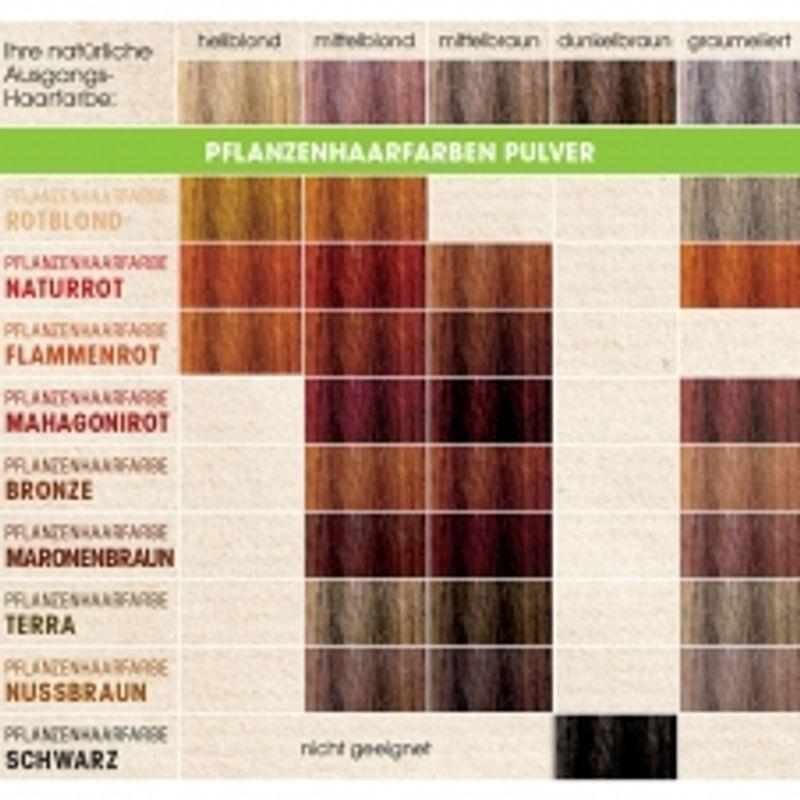 Sante Vegan Hair Dye (Terra) 100g