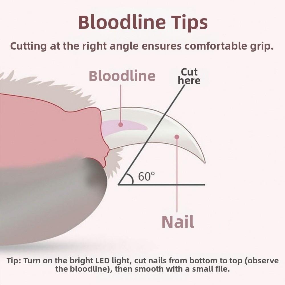 Grooming Tools Safe Design Dog Nail Clipper LED Labor-saving Cat Nail Grinder Quiet with Nail File Pet Claw Trimmer Small Dogs