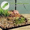 Aquarium Schildkröten Sonnenrampe Schildkröten Kletterrampe mit Saugnapf Schildkrötenrampe Leiter für Aquarium