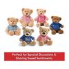 GUND I'm The Big Brother T-Shirt Teddy Bear Plush Blue 12"