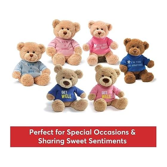GUND I'm The Big Brother T-Shirt Teddy Bear Plush Blue 12"