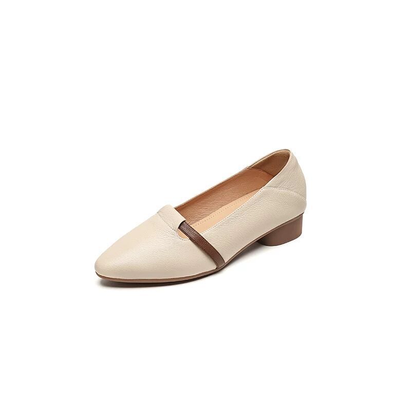 Foreign Trade Single Shoes Women's 2025 Autumn New Versatile Thick Heel Middle-aged Women's Shoes Soft Sole Pointed Spring and Autumn Low Heel Women's