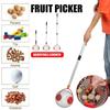 Nut Gatherer Garden Fruit Collector Nut Fruit Picker For Picking Up Nuts Chestnut Walnut Without Telescoping Pole With Stick