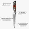 5 Inch Utility Knife 67 Layers Damascus Steel Kitchen Knives Meat Slicer Fruit Cutting Petty Knife Cooking Tools with Gift Box