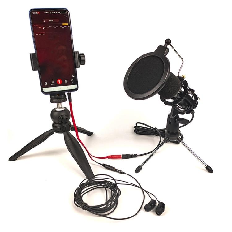 Wireless Live Broadcast Microphones System Environmental Noise Reduction Vocal Effects Sound Card 200M Transmission