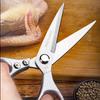 Zhishi Stainless Steel Kitchen Scissors