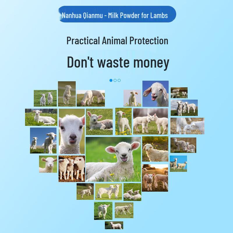 Sostituto del latte in polvere per agnello Nanhua Qianmu