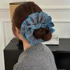Large Korean Accessories Big Scrunchie Rubber Bands for Hair Women Girl Ties Elastic Vintage Popular Leading Fashion Adults Kpop