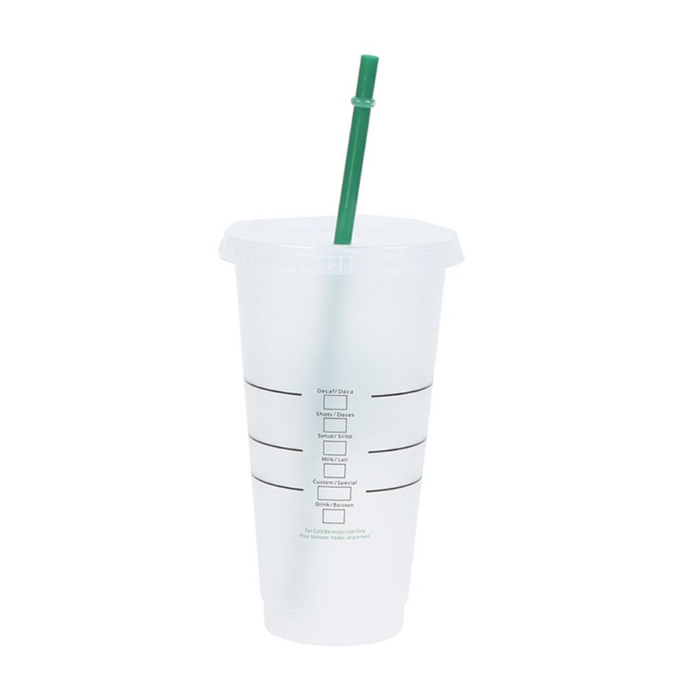 Reusable Food Grade PP Plastic Change Color Straw Mugs with Straw Matte Water Cup 475ml/601-700ml with Lid Drinks Cup Gift