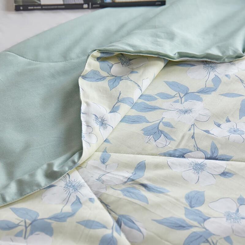Taihu Snow Tussah Silk & Cool Fiber Quilt