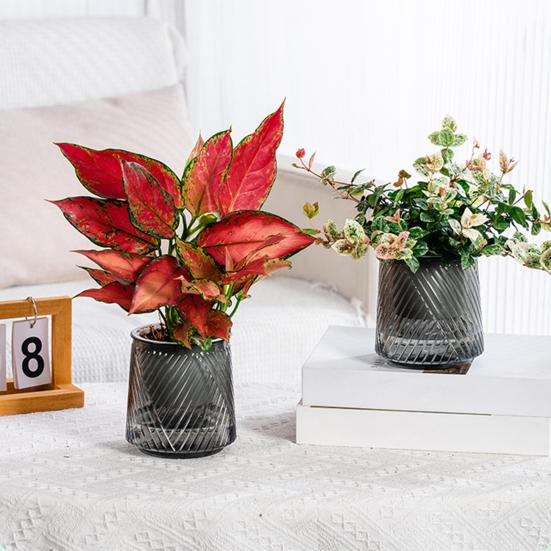 Self Watering Pots for Indoor Plants Small Plastic Planter Modern Wicking Flower Pot with Wick Rope And Reservoir for Violets Ocean