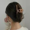 Women's Daily Pastel Color Hairpin Clip