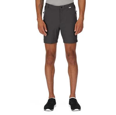 Mountain II Shorts