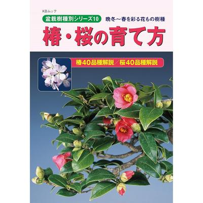 Aménagement du jardin – Graines