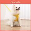 Hundegeschirr mit Leine und gesticktem Cartoon-Design für kleine und mittelgroße Haustiere