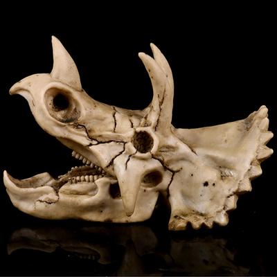 Triceratops Skull Resin Artefakt Dekorace osobnosti lebky dárek