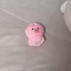 Theboyz Sunoo Danko Doll