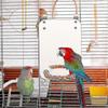 2025 Latest Model Bird Stand Rope Perch With Mirror Parrot Toy, Bird Mirror For