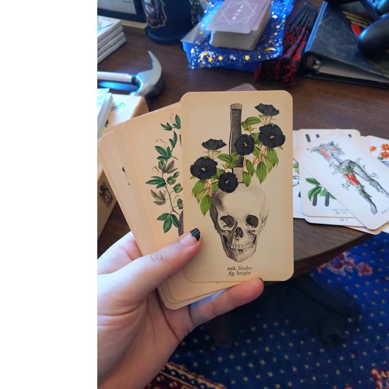 The Antique Anatomy Tarots 78-Card Deck Full English Oracle Cards Divination Fate Family Party Board Game