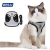Cani – Collari e guinzagli per cani