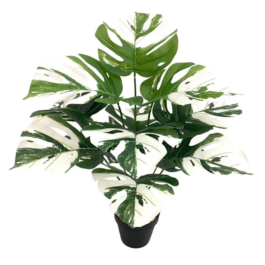 Nordic Style Variegated Monstera: Potted Plant for Home & Garden Decor