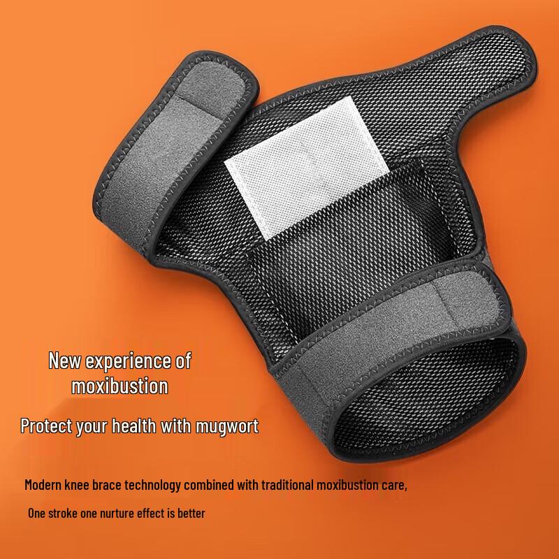 CLORIS-K800 Electric Heating Knee Massager