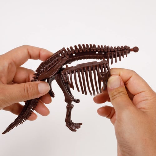 Gakken Triceratops 1/35 Scale Skeleton Model Kit & Life-Size Poster (Ages 6 and Up) Q750808