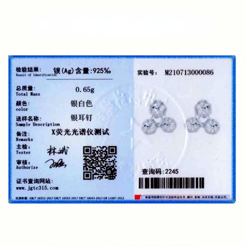 Tancise 925 Sterling Silver Zircon Earrings Drop Earrings For Women Wedding Party Gifts