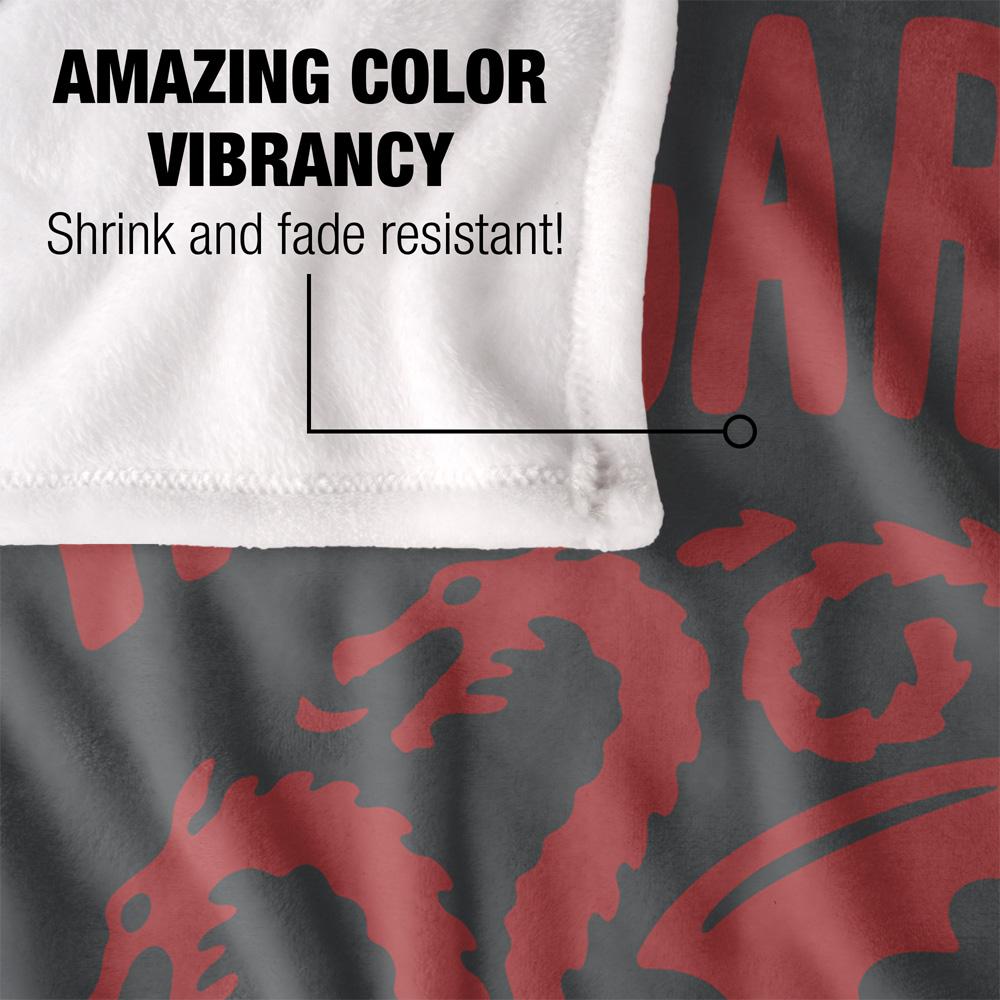 Game of Thrones Targaryen Crest Blanket