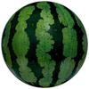 Igarashi Beach Ball 85cm Realistic Watermelon Ball, Inflated Size Approximately 60cm, BBC-185V