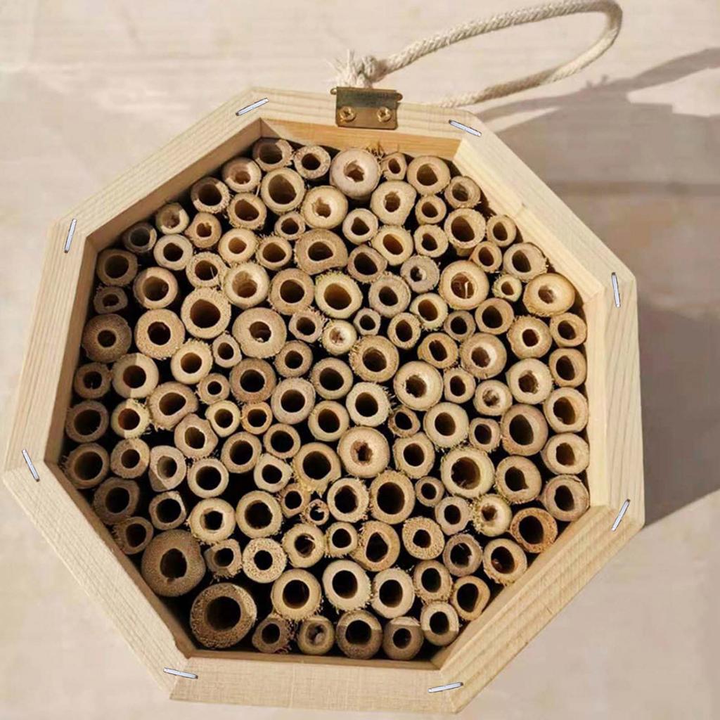 Bee Hotel for Garden and Yard Bamboo Bee Hive for Bees Butterflies Mason Bee Houses and Supplies for Outdoor Garden