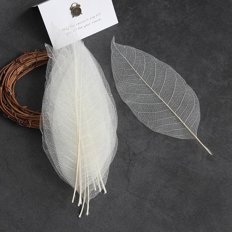 

10 шт. Натуральные листья-скелеты магнолии Листья Карточка Скрапбукинг Белый Праздничные принадлежности Свадьба Домашнее украшение 10pcs