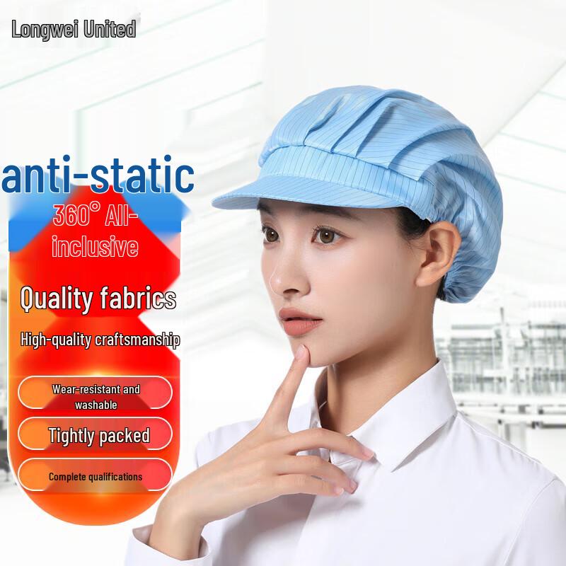 Cleanroom Anti-Static & Dust-Proof Protective Gear