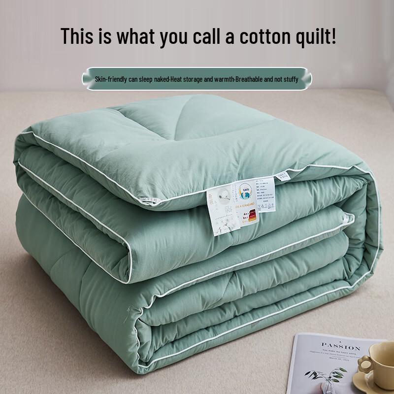 

Qi Ai Minimalist Thick Warm Quilt