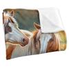 JQ Licensing Cf Silky Horse Supersoft Blanket