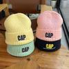 Autumn and Winter New Style Knitted Woolen Hat for Women Alphabet Versatile Couple Pullover Hat  Hip Hop Trendy Warm and Cold Hat for Men