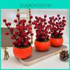 Red Persimmon Decorative Plant Foam Fruit Flowerpots For Housewarming Gifts