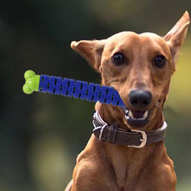 Silicone Dog Chew Toy Bone Interactive Teeth Cleaning Toy For Pet Durable And Noise-making Blue And Green
