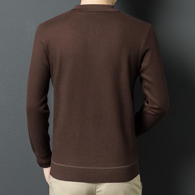 Men's Lapel Wool Blend Pullover Sweater