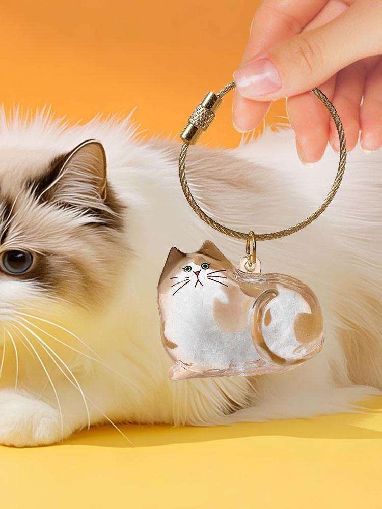 Transparent Pet Hair Storage Box Cat Hair Storage Capsule Keychain for Cat Fur DIY Memorial Gift for Pet Lovers