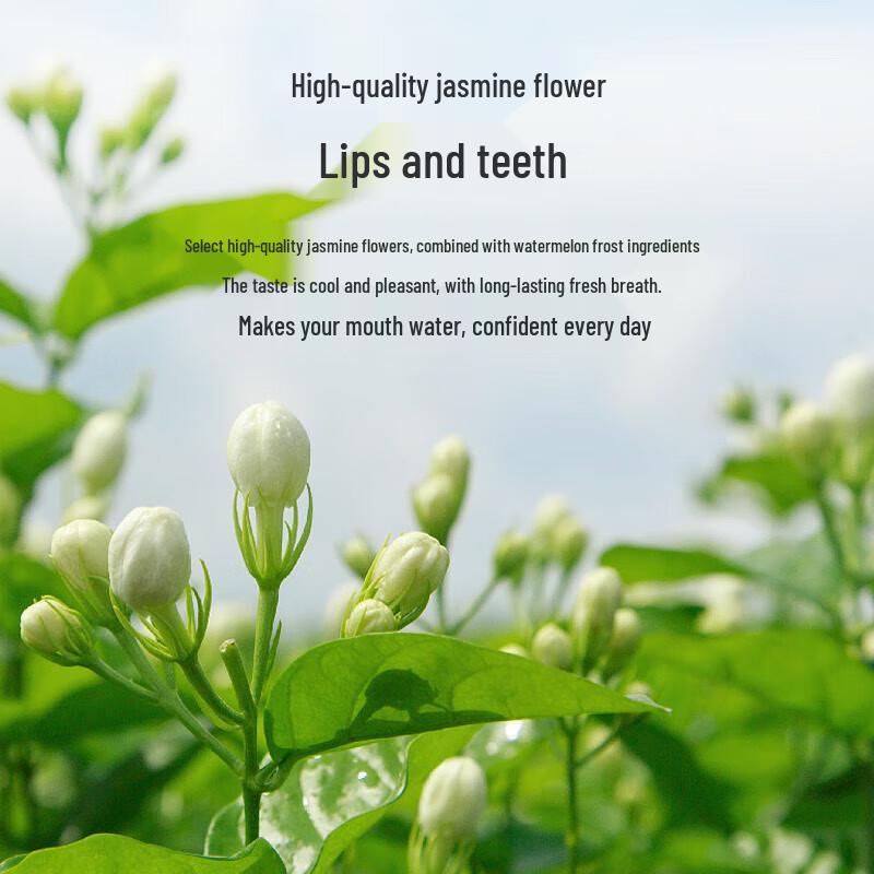 Sanjin Watermelon Frost Toothpaste