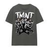 Tmnt Tmnt Team Ladies T-Shirt S-2XL, Charcoal
