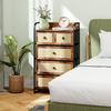 Bedroom Chest of Drawers with 5 Drawers with Rattan Fronts and Steel Frame 58x29x99 Cm Rustic Brown