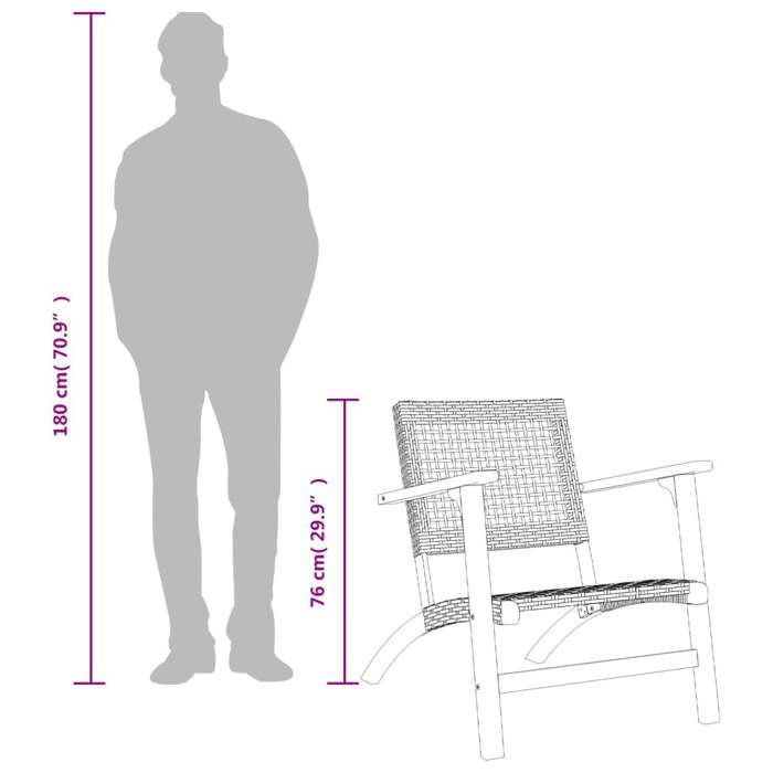 VidaXL Lot de 2 Chaises de Jardin, Sièges de Patio, Meubles de Terrasse Arrière-cour Extérieur, Noir Résine Tressée et Bois 365868